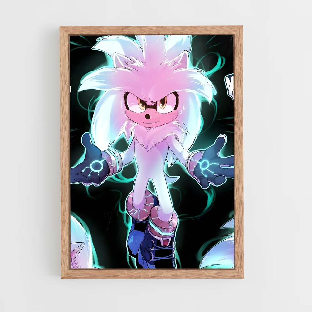 Poster Silver sonic (vue 4)
